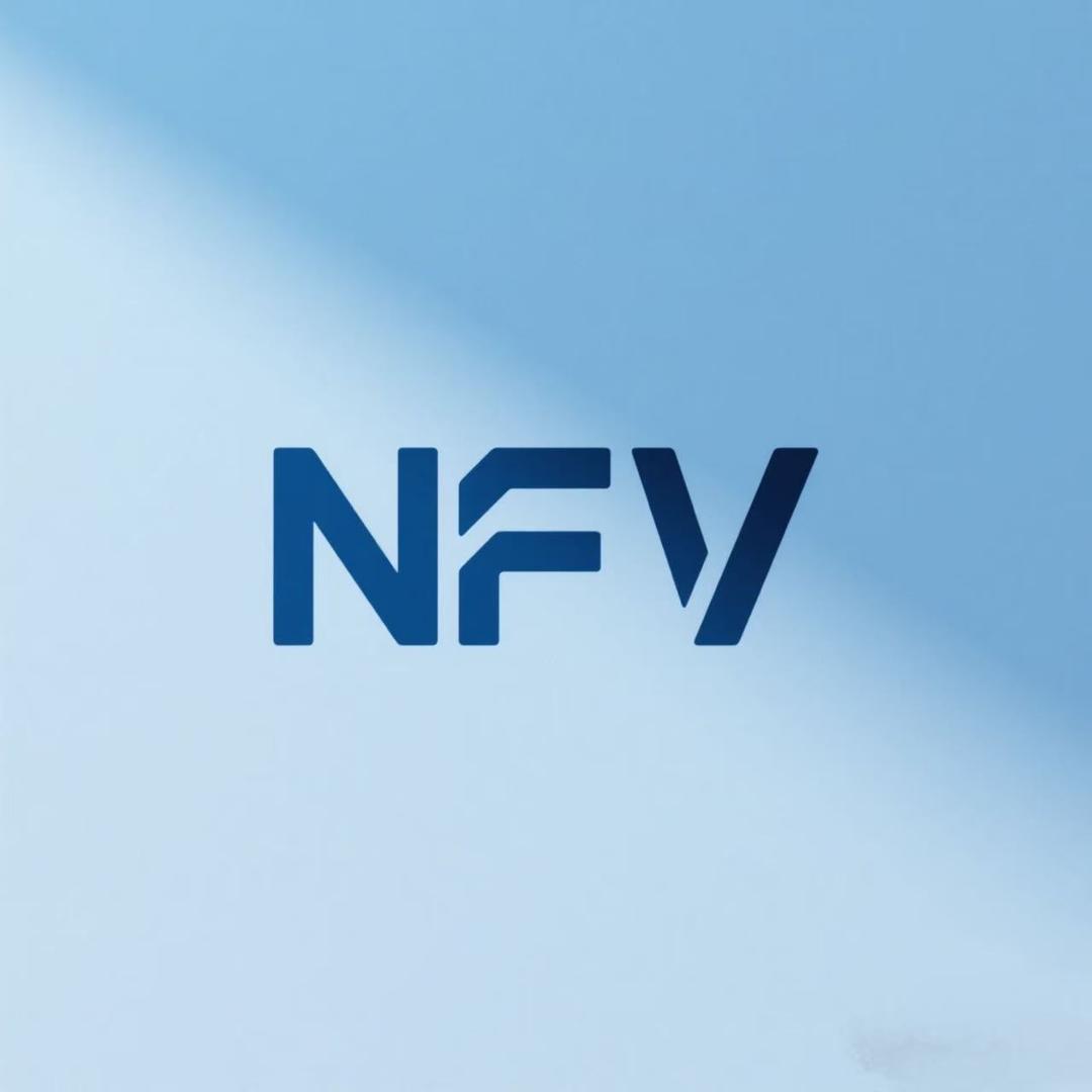NFV品质男装旗舰店
