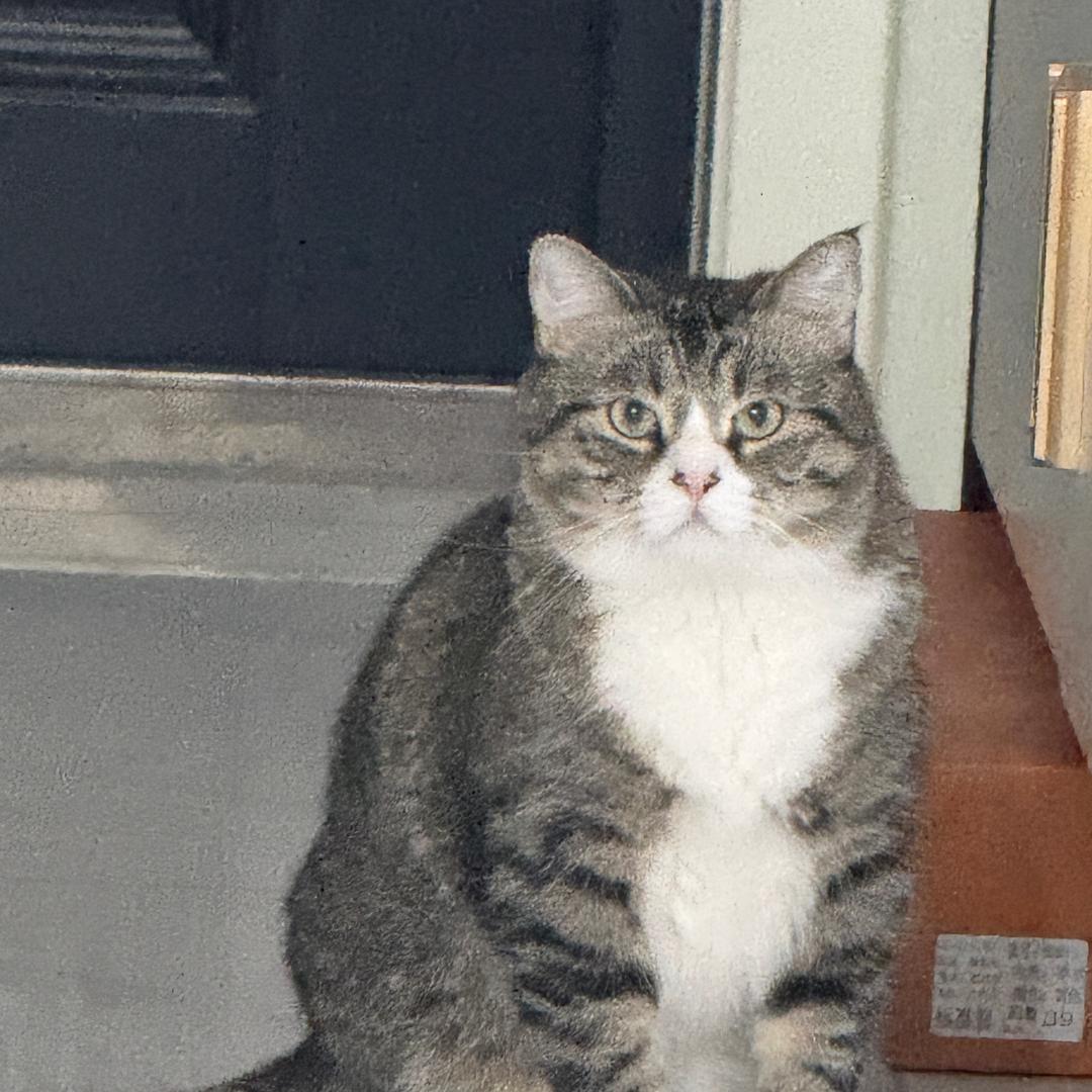 有戏电影酒店-安琪