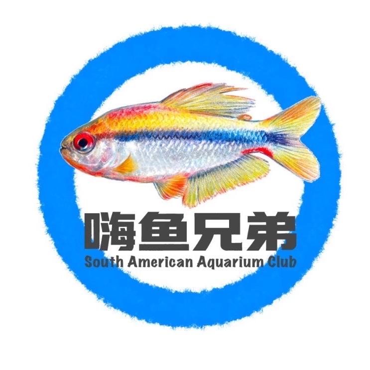 嗨鱼兄弟精选店