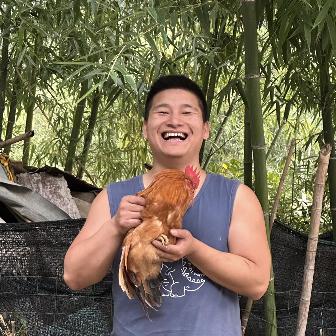 农村阿杰