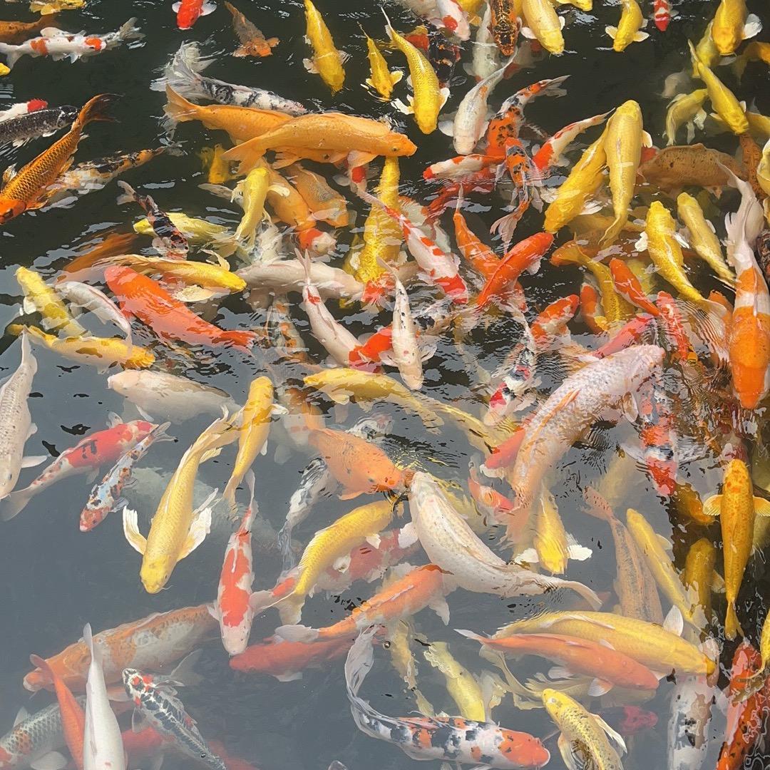 转移直播间 天津舍得 fkjt123