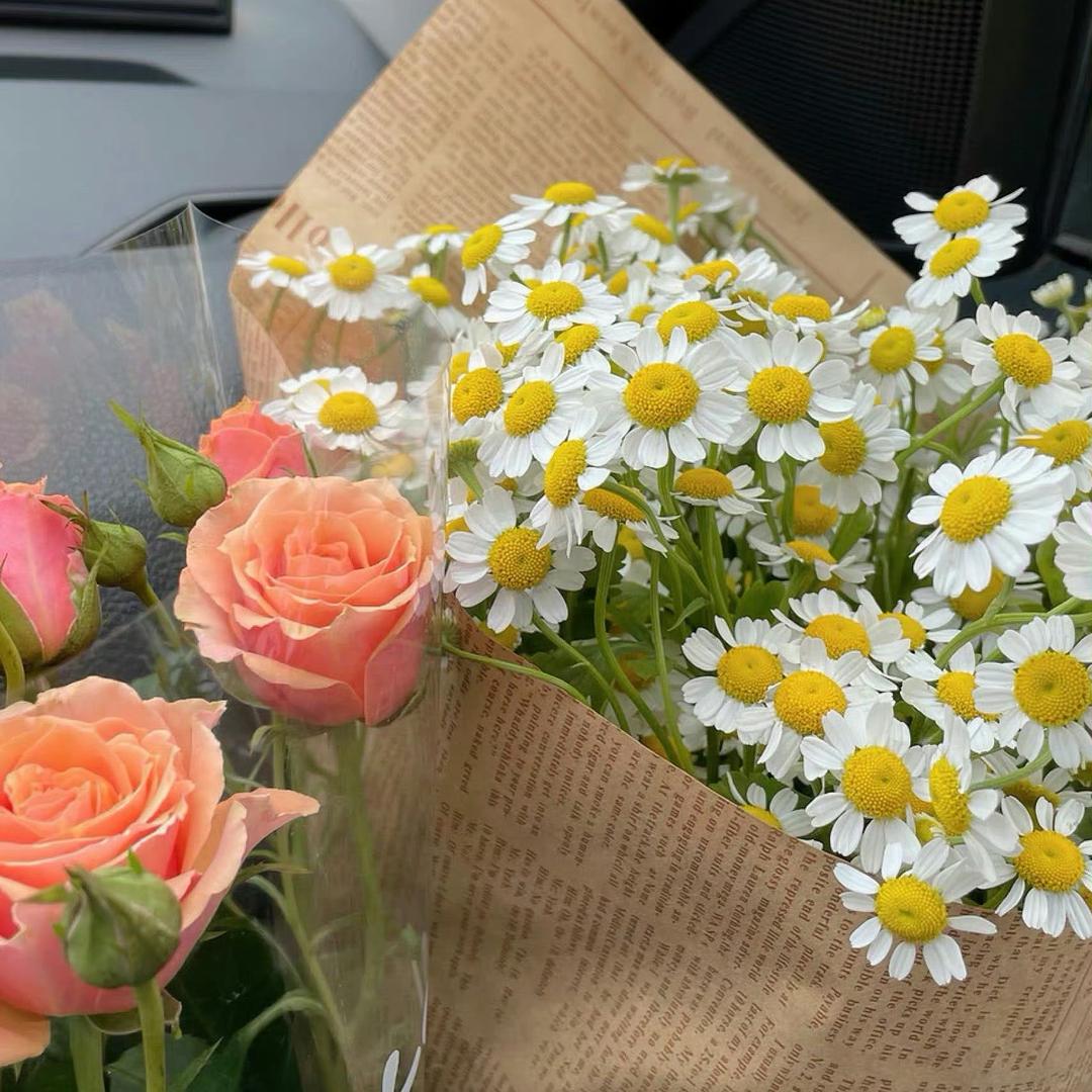 多财多亿的加薪饼干🍪