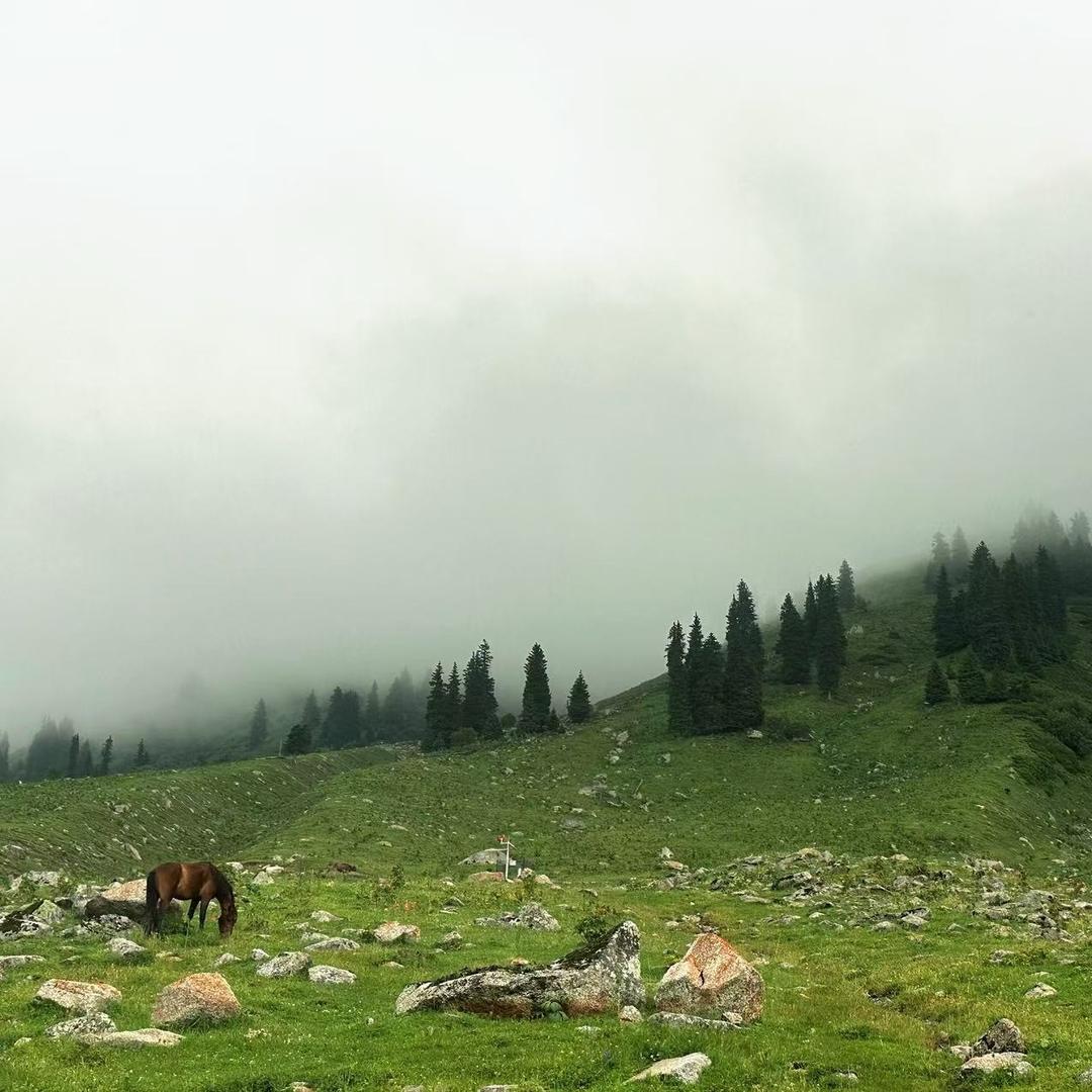 无泪的遗憾(￣o￣)