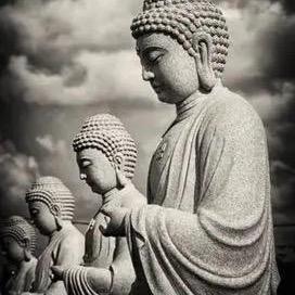 不许人间见白头、