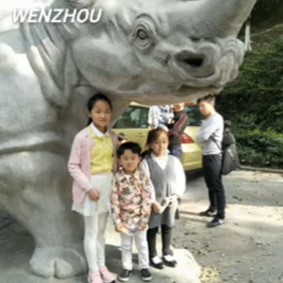 我爱我家三草科学有机护肤藏红方亿人丹养生