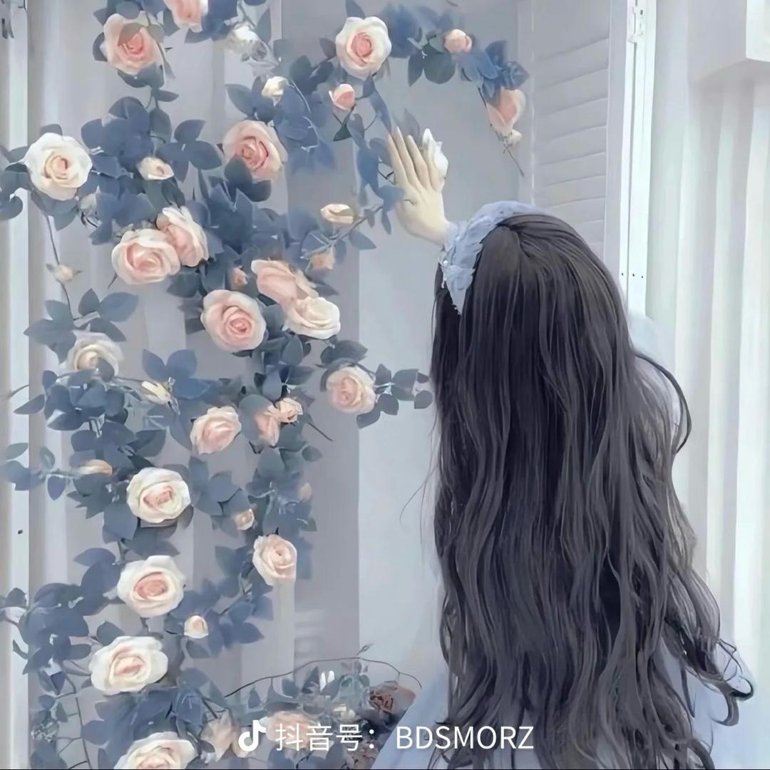 婷婷爱收藏