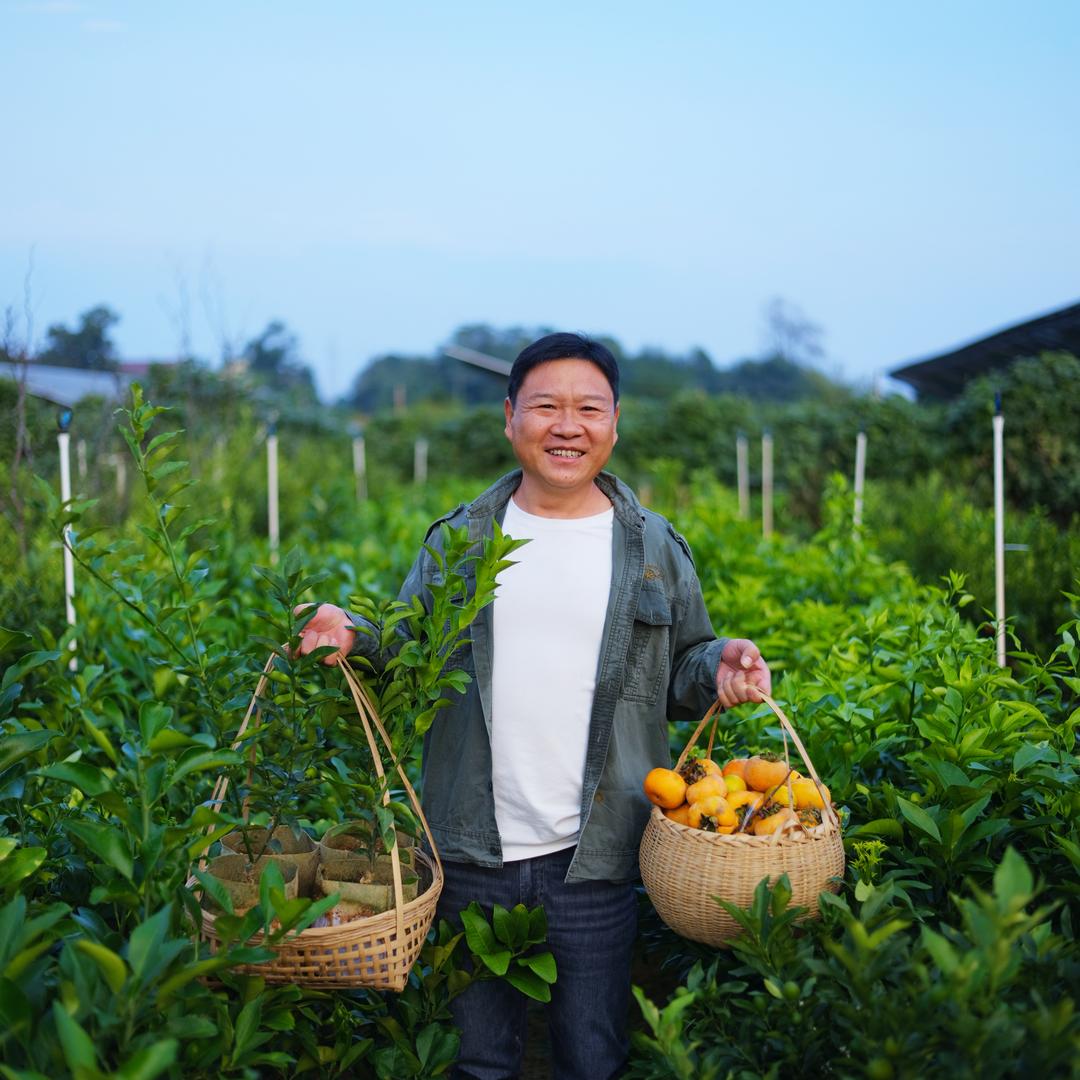 顺成果树苗木专营店