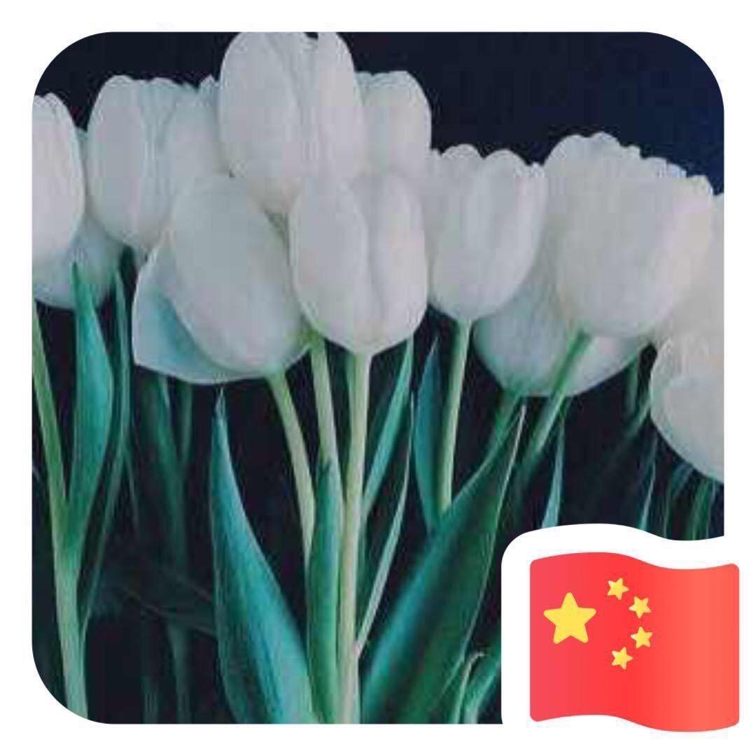 飞雪无痕🌸