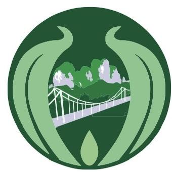 保靖黄金茶一湘苗茶业