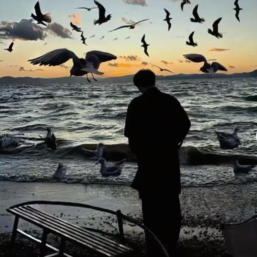 💗᭄ᝰᩚ从头开始໌ᮨ💕