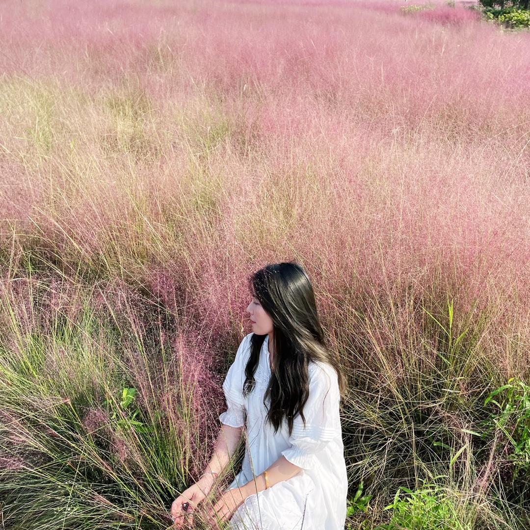 🌸月月酱紫