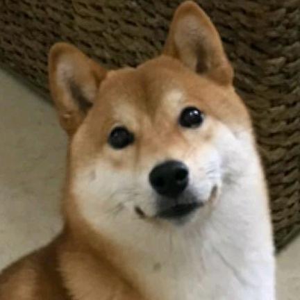 马铃薯