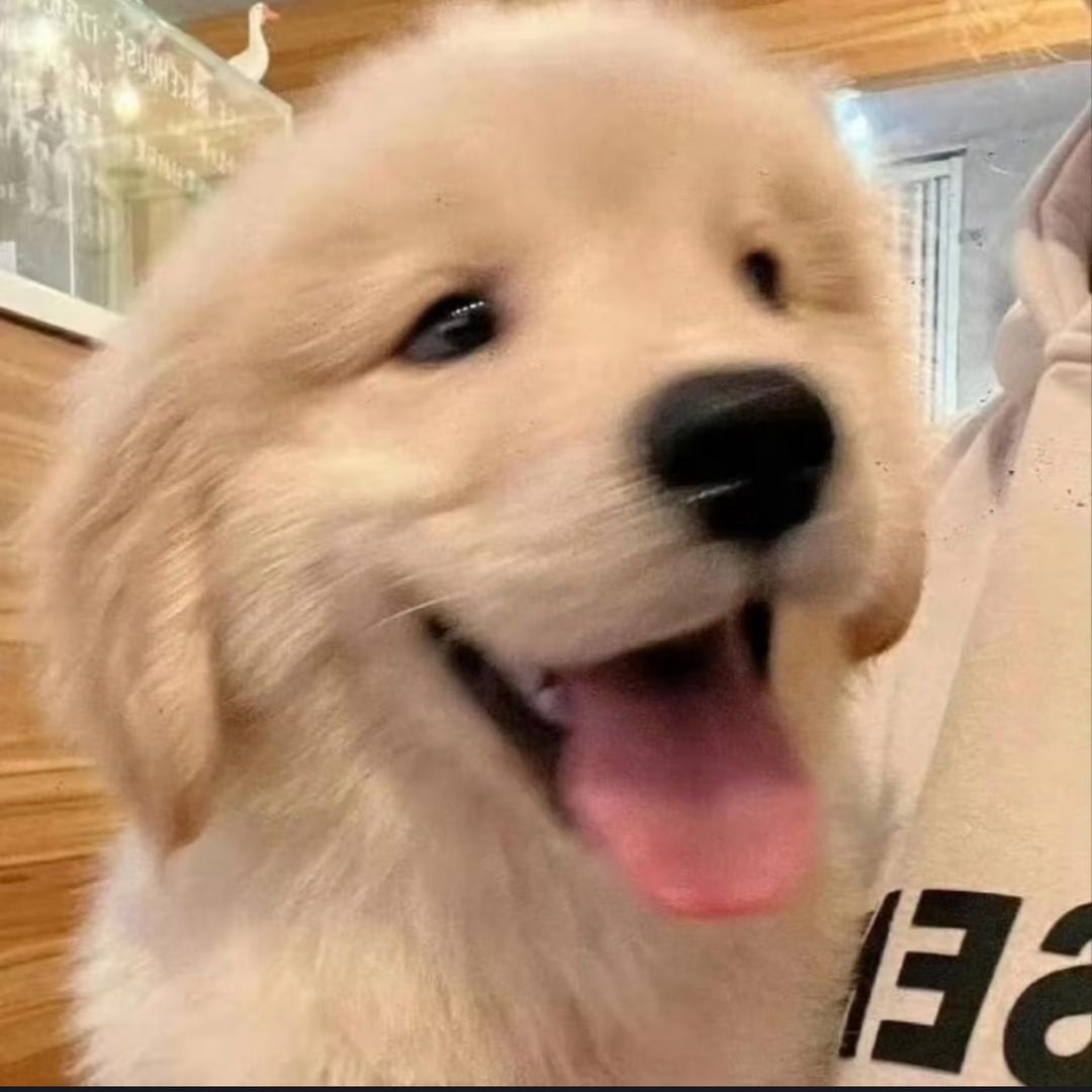 多多多多米dd🐶