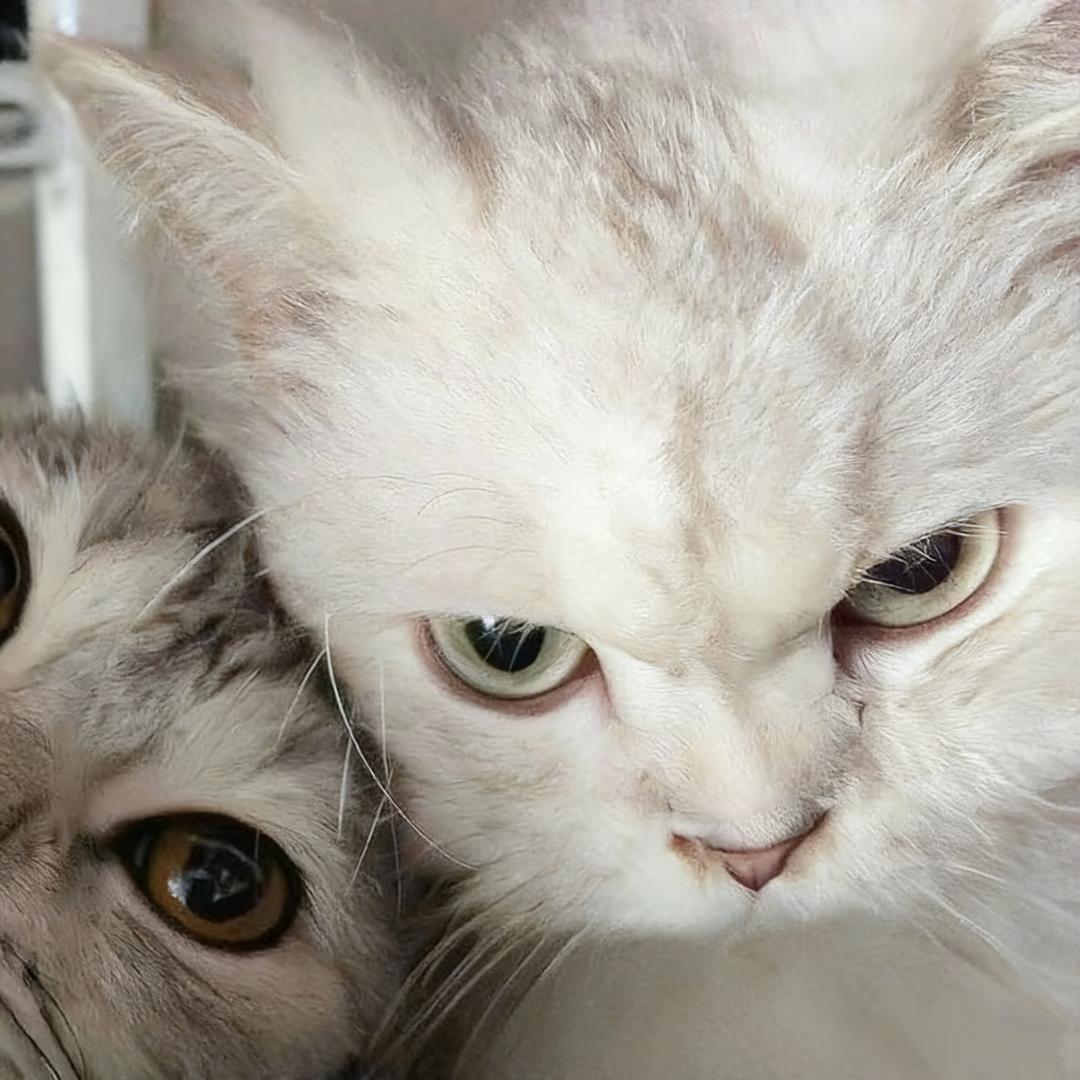&