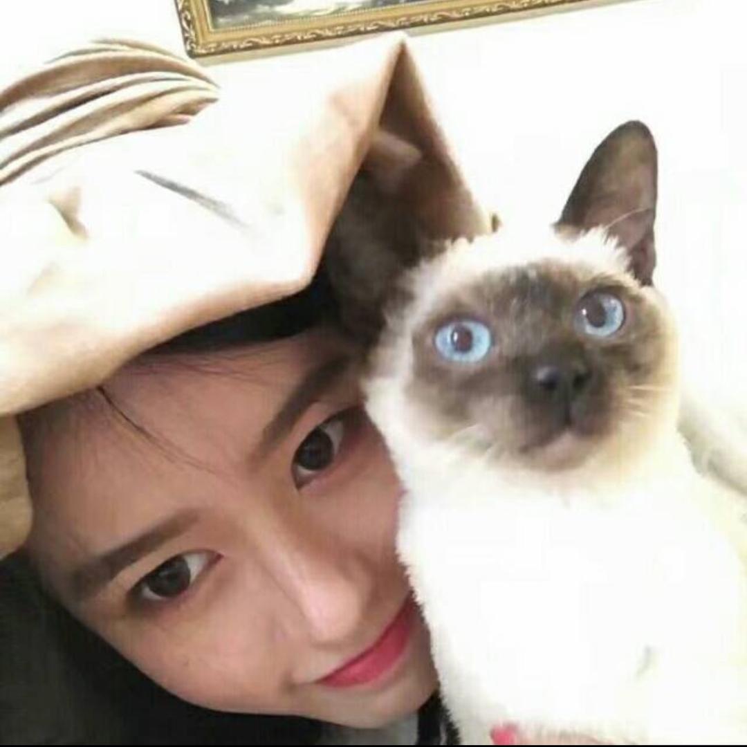 不懂事儿的红兵