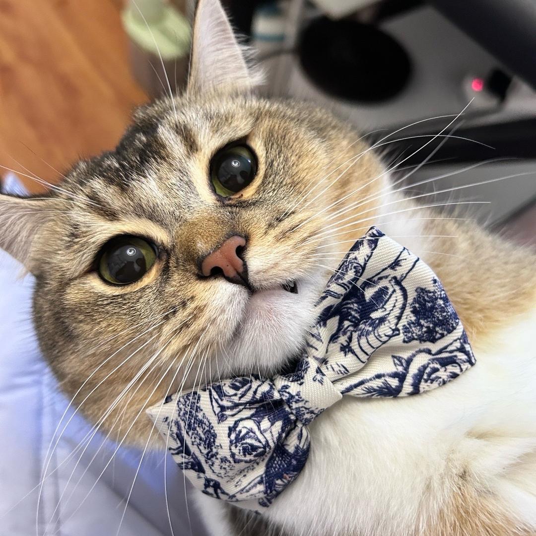 鱼鱼鱼🐟