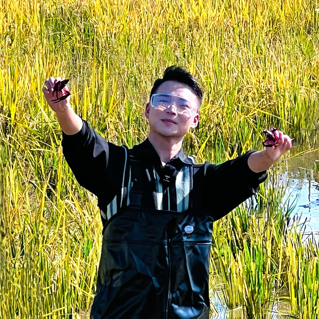 葛不理噢