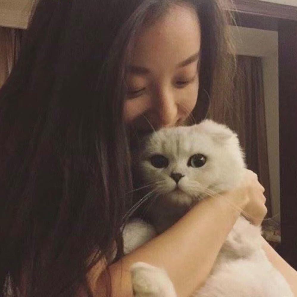 财阀大小姐
