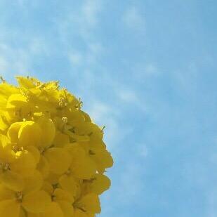 要改个名字，还没想好！