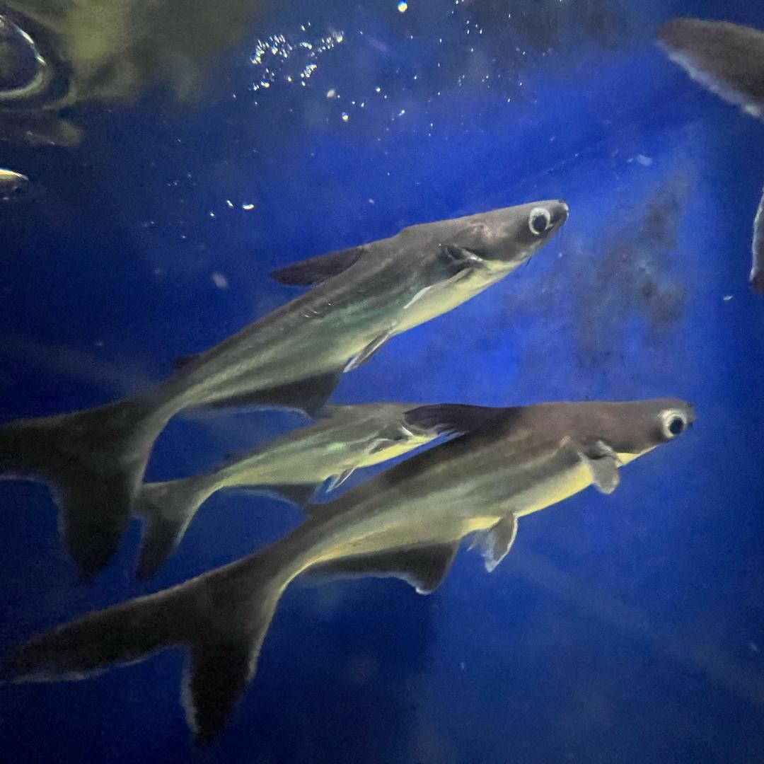 涵好物馆