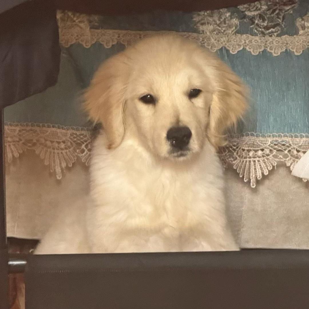 我可以弯腰🌝（优选）