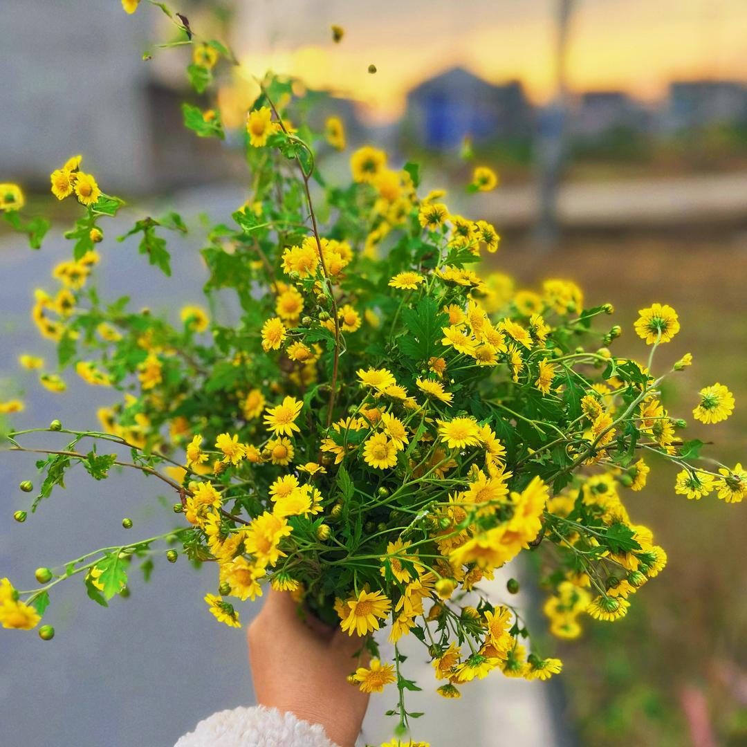 亭亭农家腊肉店