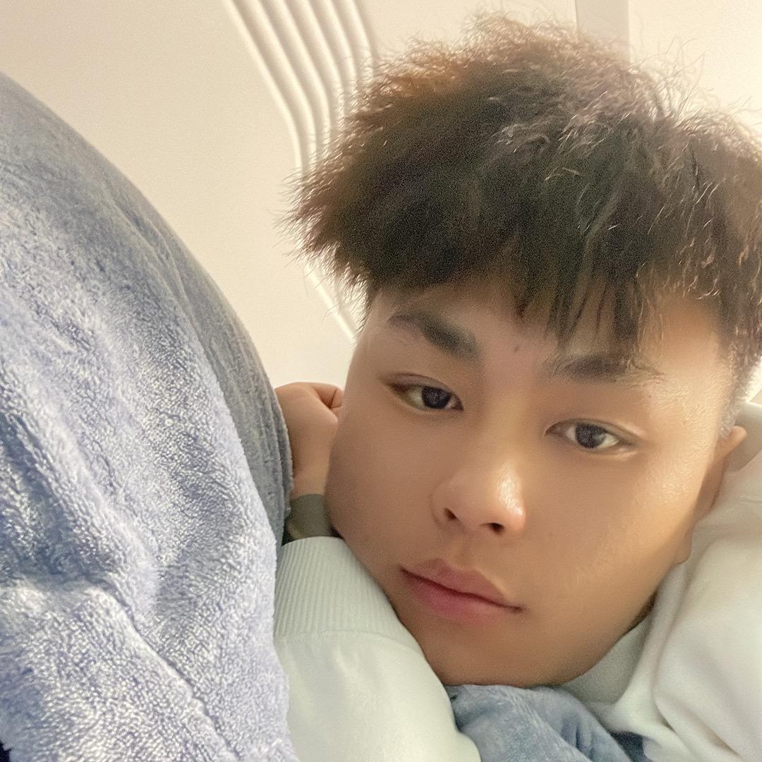 Dl.哲