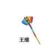 维🪁
