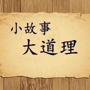 曲晨