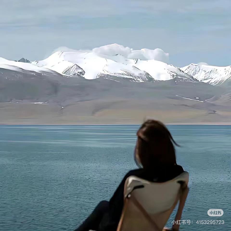 大媛子-