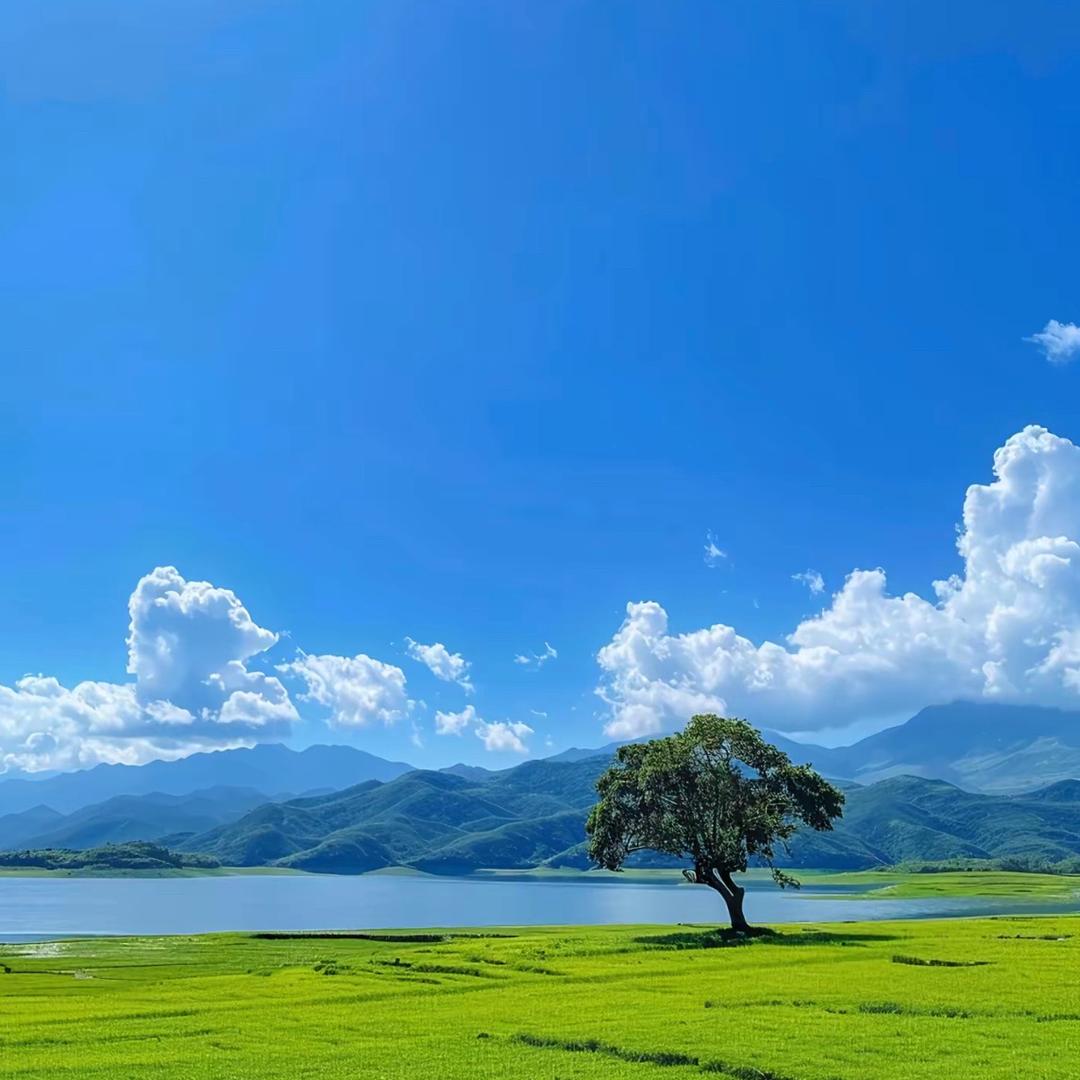 小怡宝