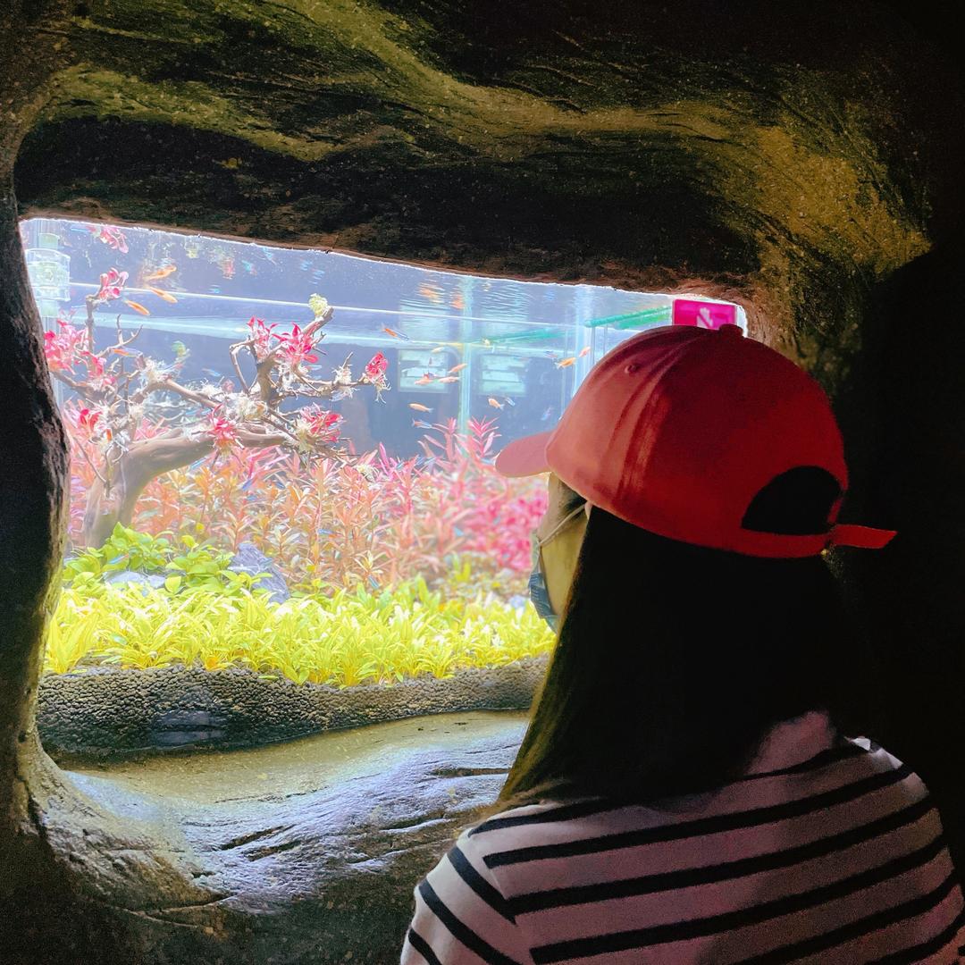 仙女