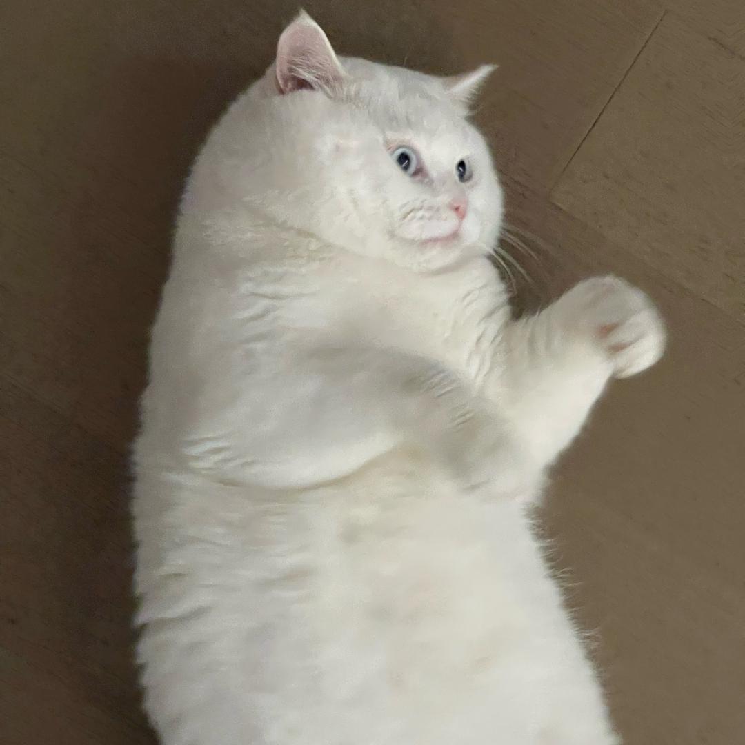 ！