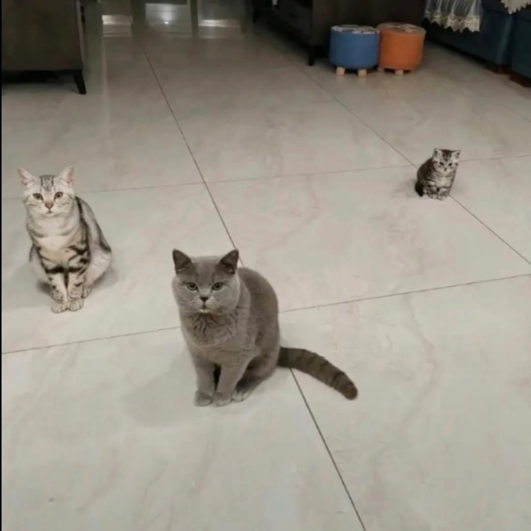 M.m.M