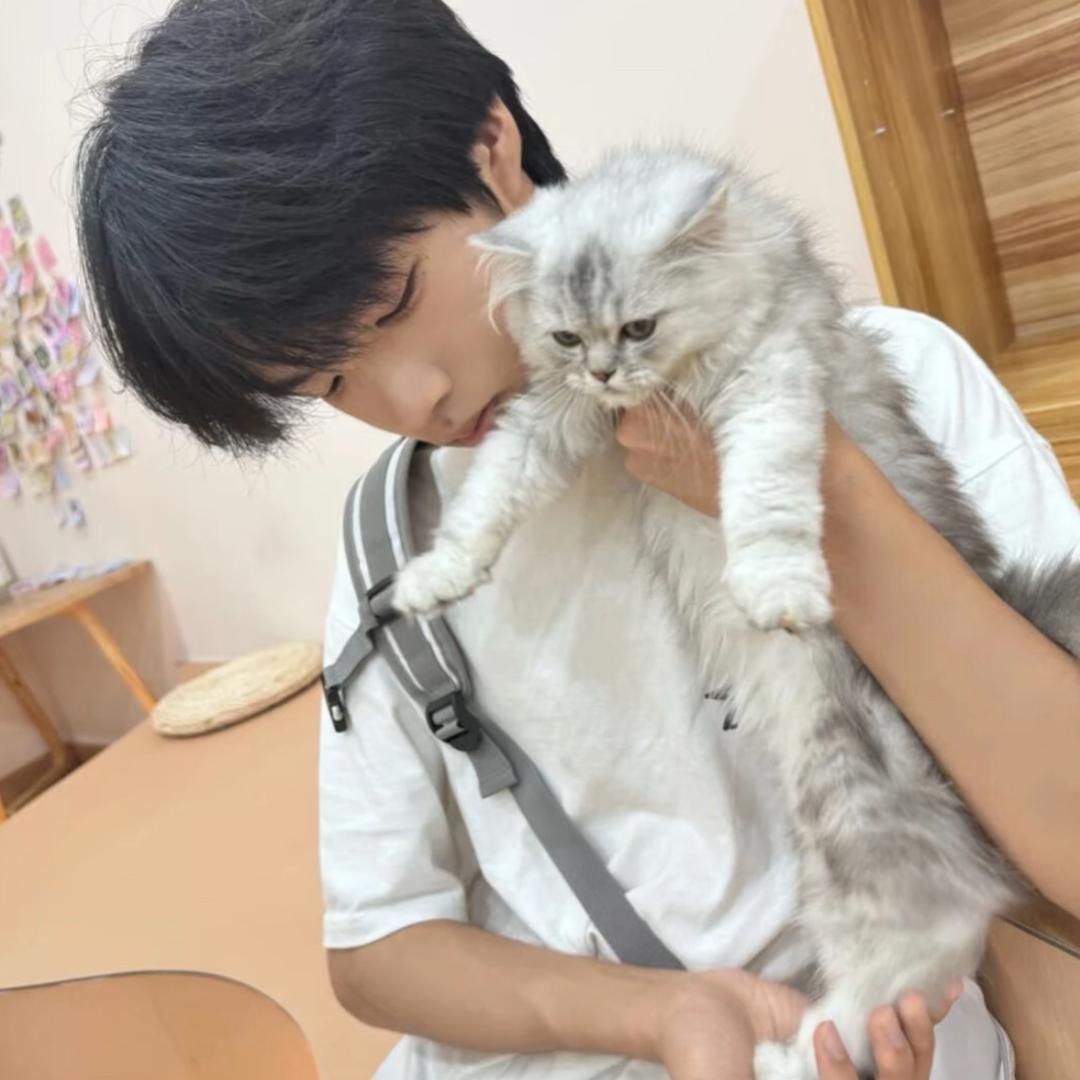 正茂