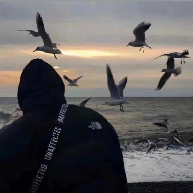 iN