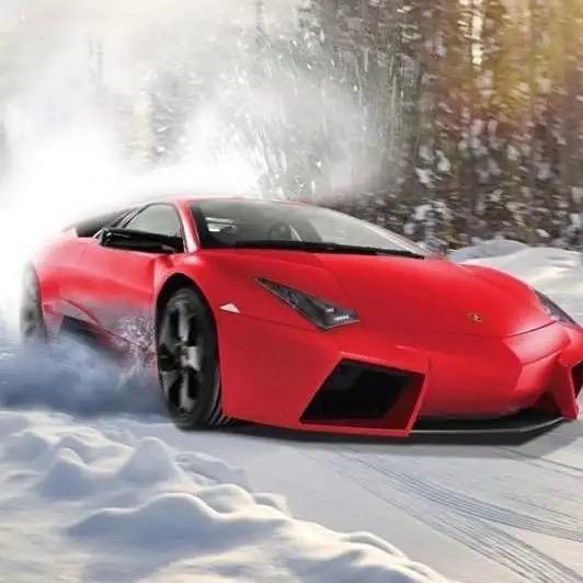 临沂小熊 金瑞诚