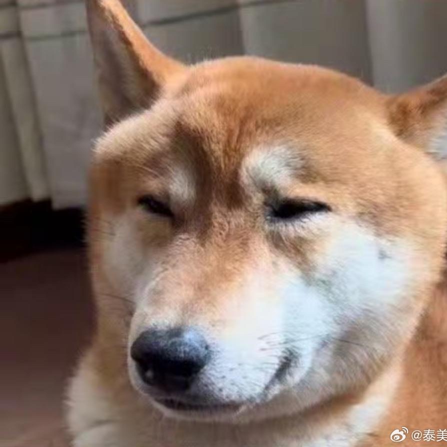 什么情况？