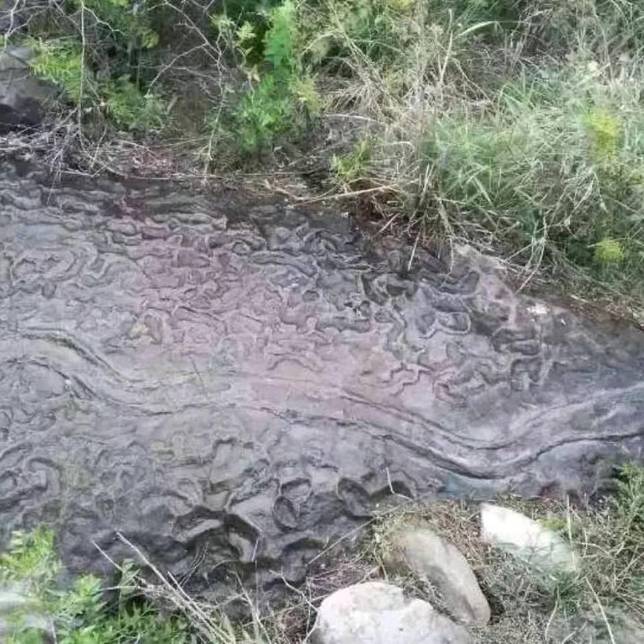 简一