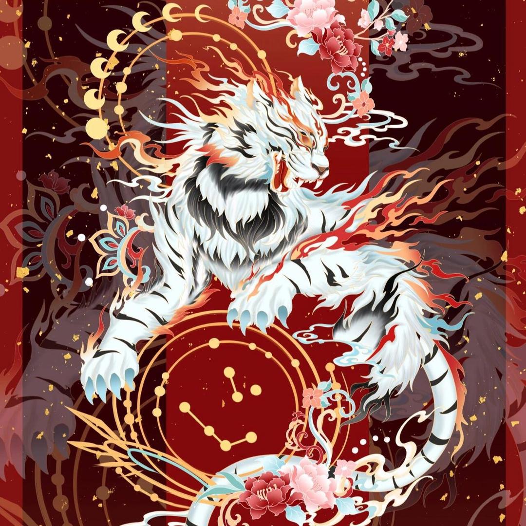 虎虎帝君，未来抖音接班人