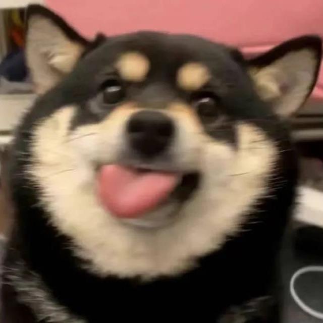 想睡醒.
