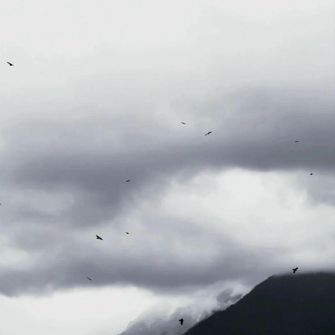 𝓛𝓐𝓝𝓖𝓩𝓘𝓧𝓤𝓐𝓝