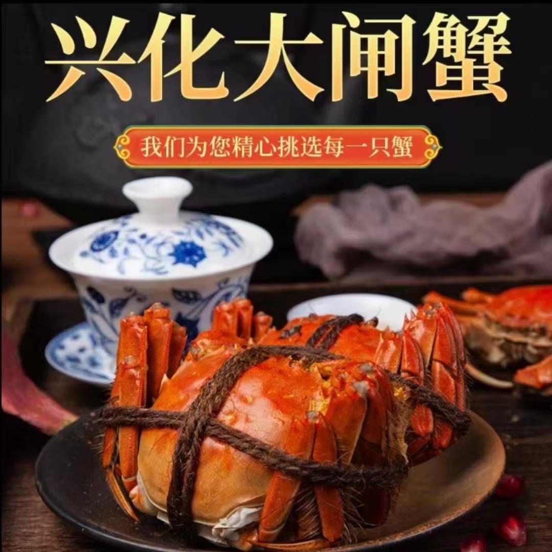 昌泰水产弘膏大闸蟹