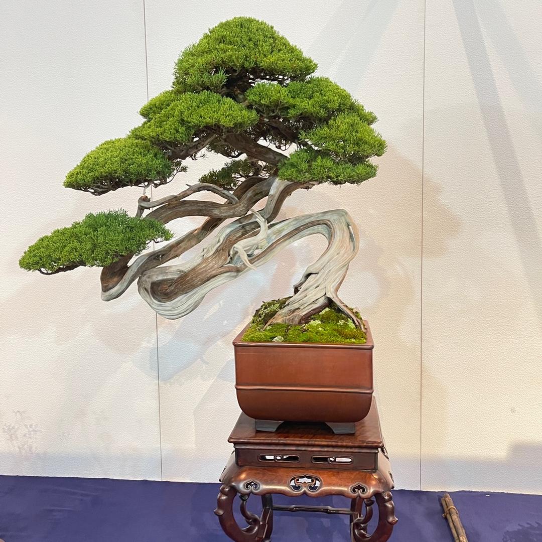 夏瑞