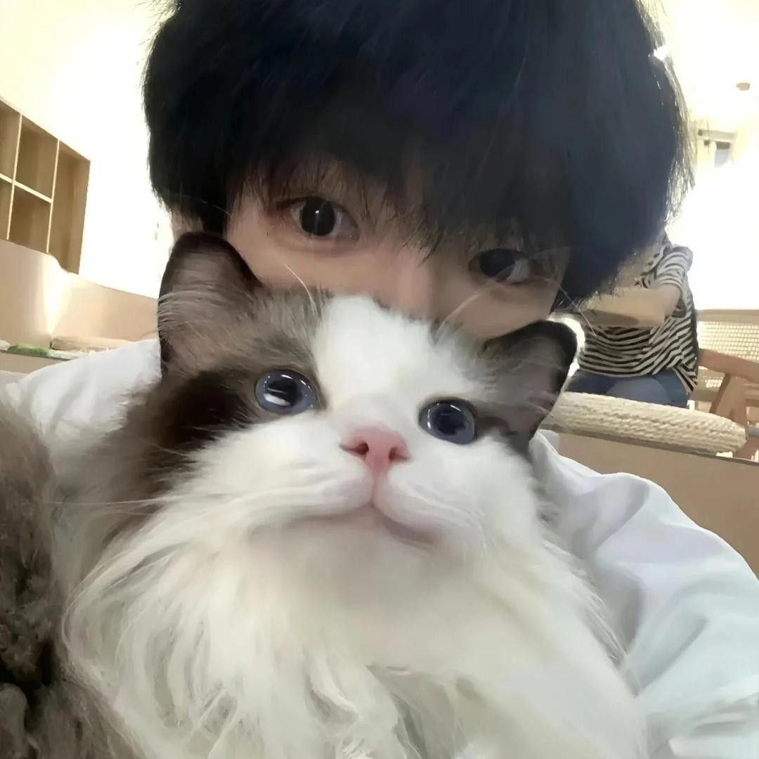 菜菜菜