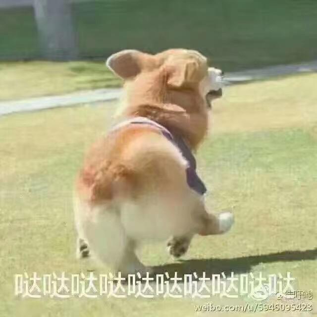 Lida吖