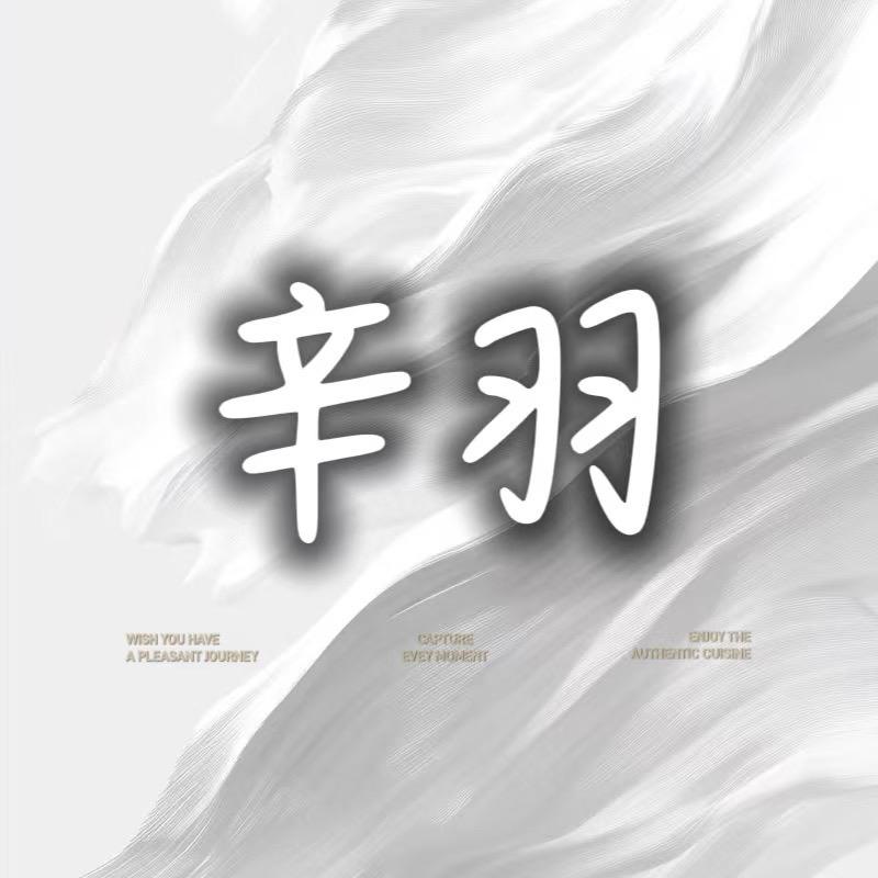辛羽手工真皮轻奢孤品