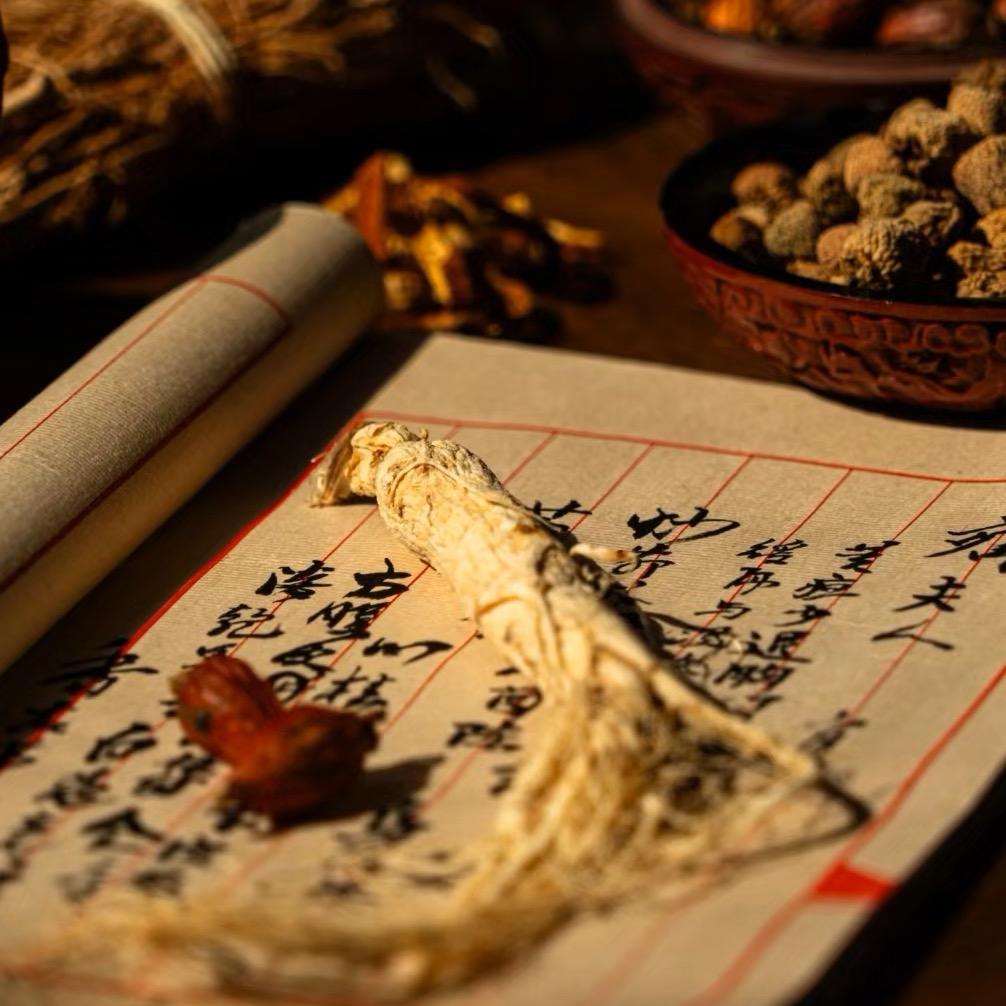 早阳-谢委-嘶信我