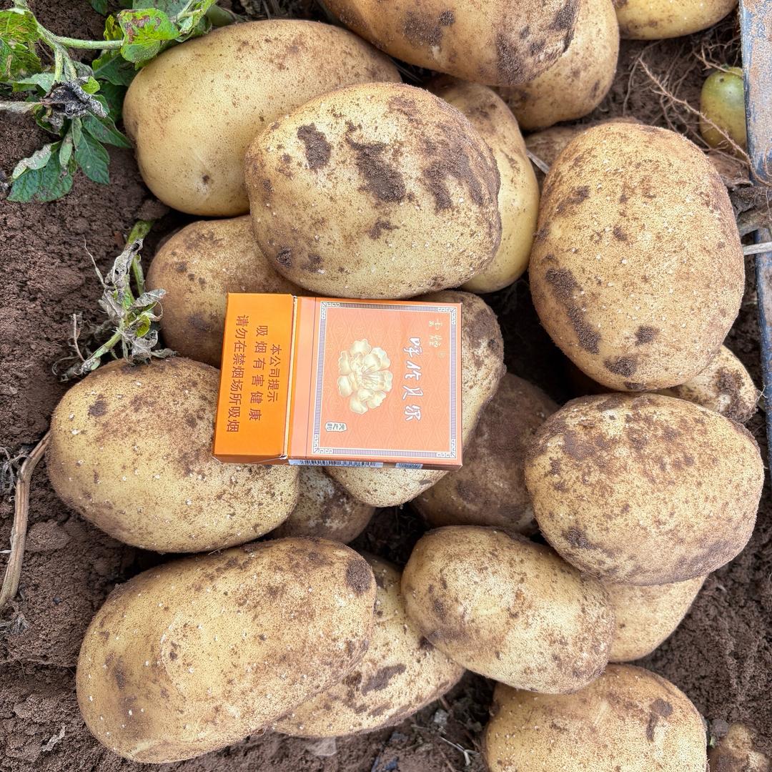 皓铭蔬菜批发零售商行