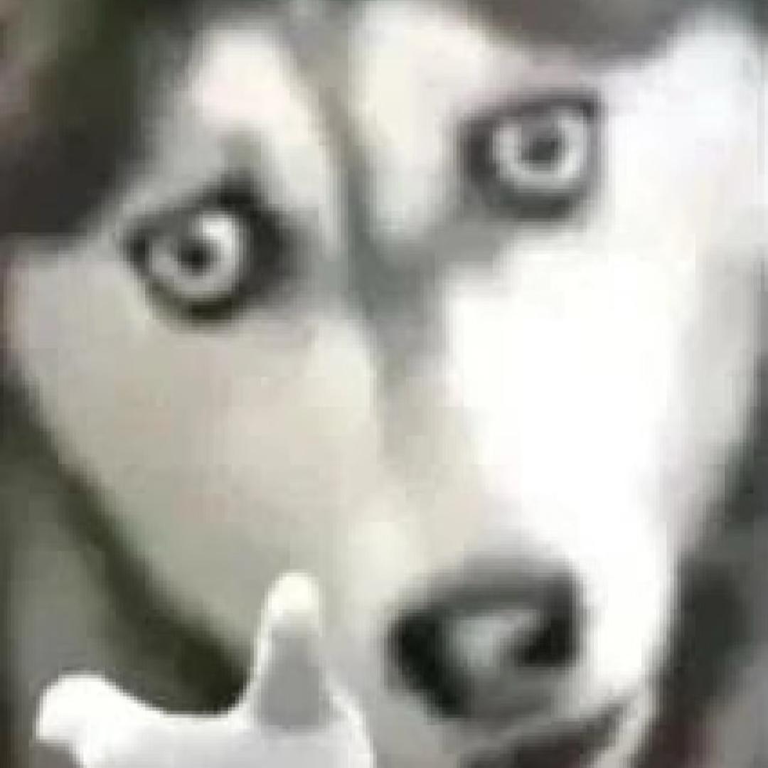 …求索速写蒋